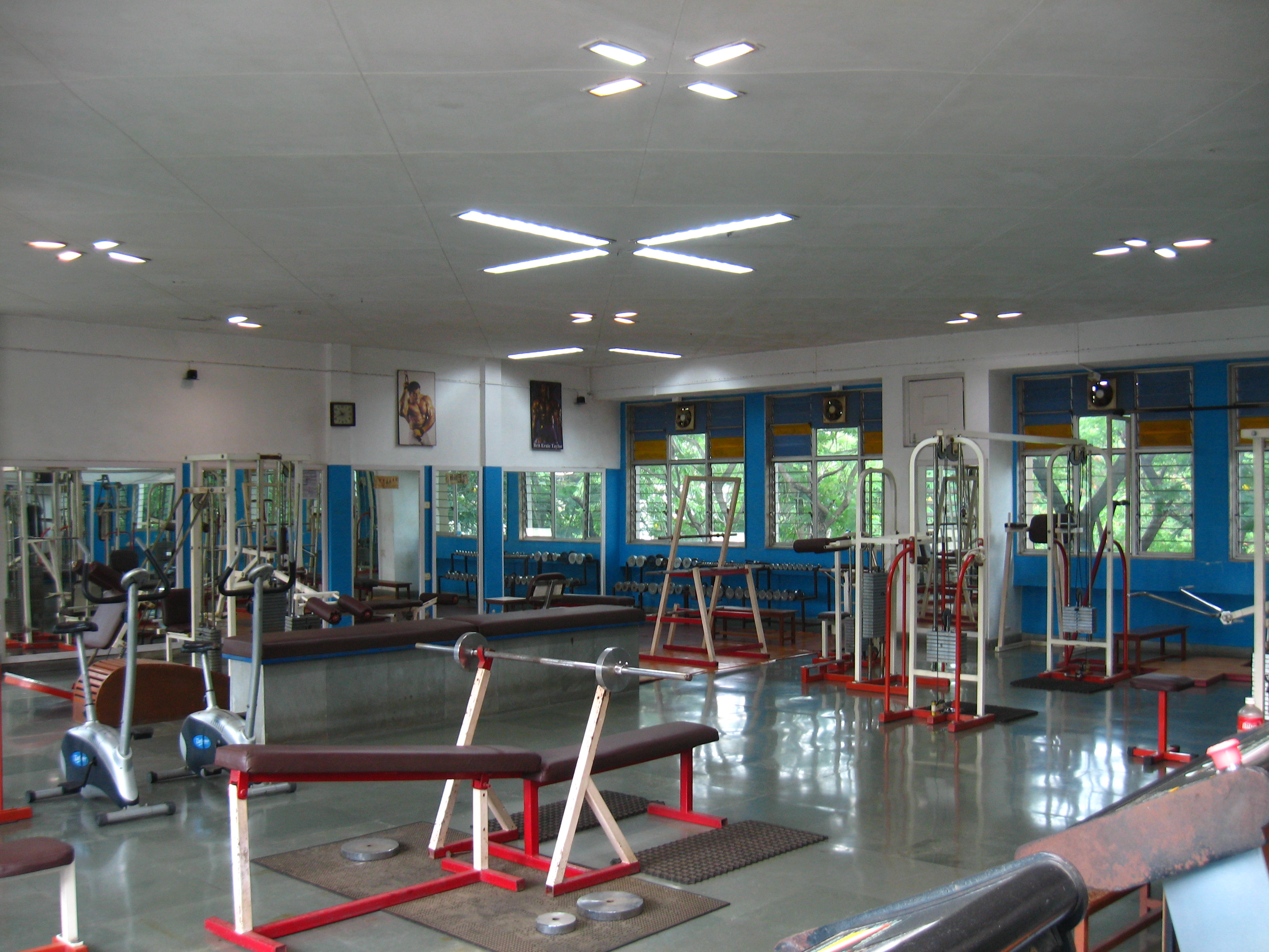 Gymnasium